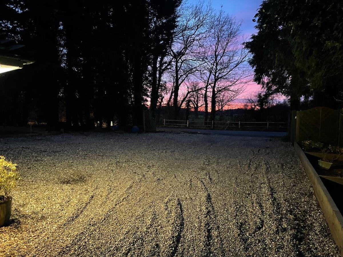 Da Vinci Guest House & Guest Parking, A Real Gem クローリー エクステリア 写真